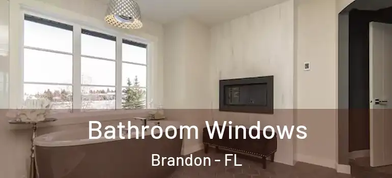  Bathroom Windows Brandon - FL