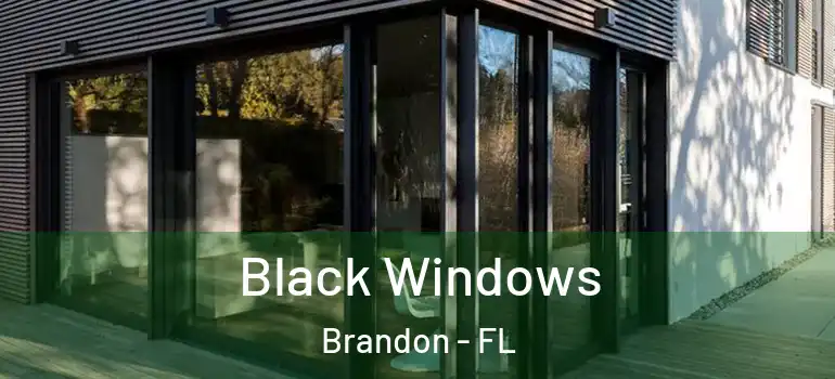  Black Windows Brandon - FL