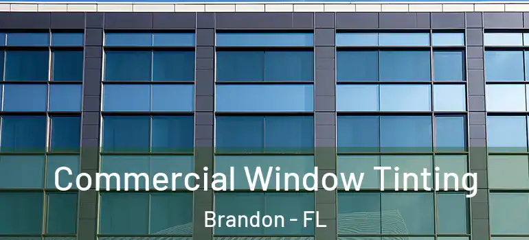  Commercial Window Tinting Brandon - FL