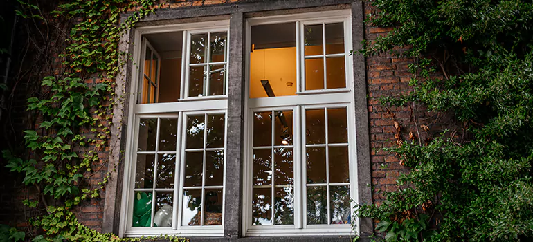 Energy Efficient Wood Windows in Brandon, FL