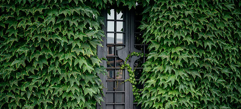 Garden Gate Repair in Brandon, FL