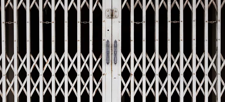 Steel Line Garage Door Repairs in Brandon, FL