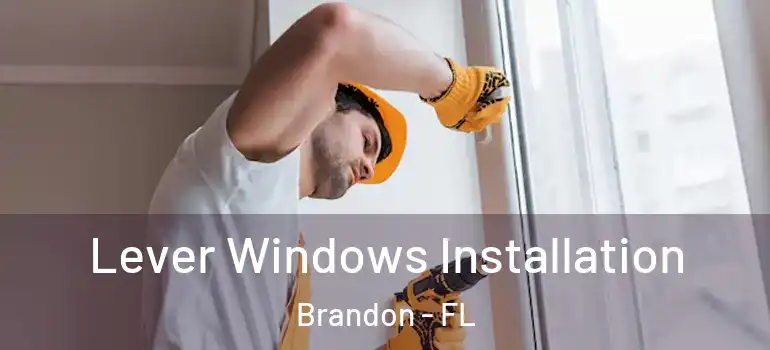  Lever Windows Installation Brandon - FL