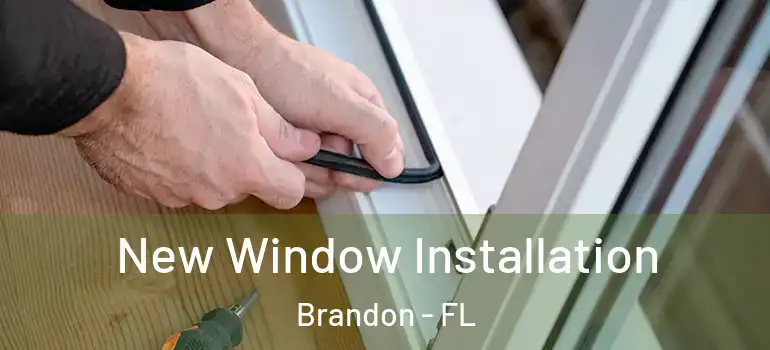  New Window Installation Brandon - FL