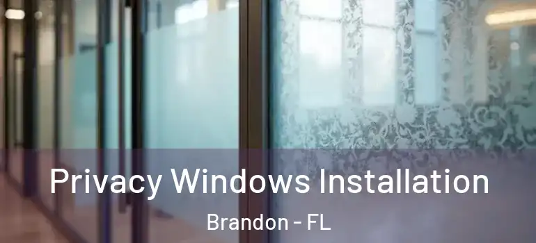  Privacy Windows Installation Brandon - FL