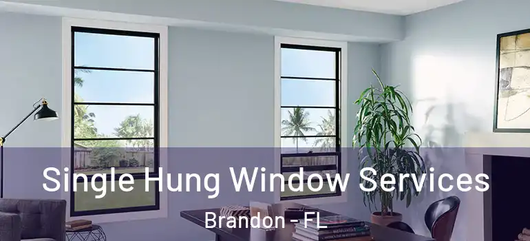  Single Hung Window Services Brandon - FL