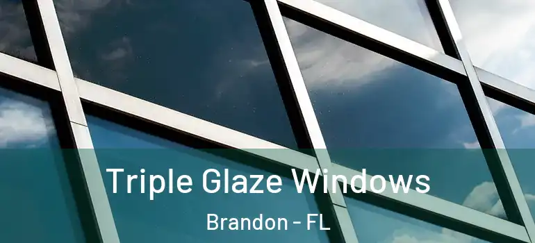  Triple Glaze Windows Brandon - FL