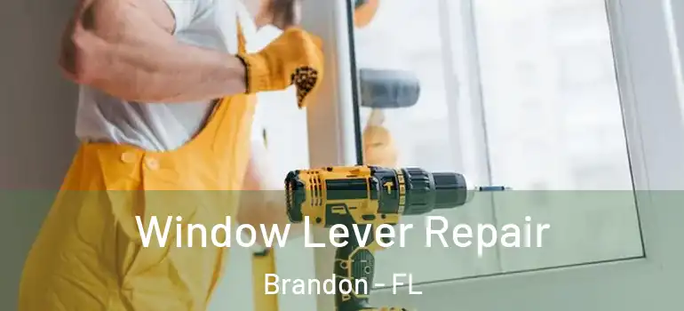  Window Lever Repair Brandon - FL