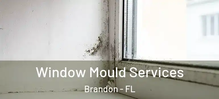  Window Mould Services Brandon - FL