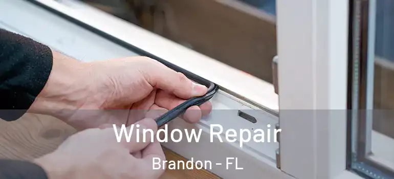  Window Repair Brandon - FL