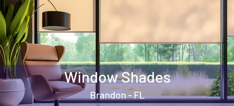  Window Shades Brandon - FL